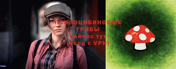 ПСИЛОЦИБИНОВЫЕ ГРИБЫ Карпинск