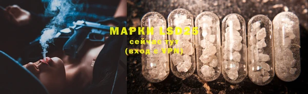 ПСИЛОЦИБИНОВЫЕ ГРИБЫ Карпинск