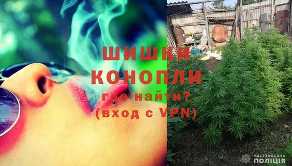 мет Касимов