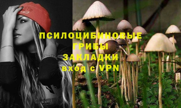 хмурый Карталы