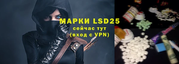 ПСИЛОЦИБИНОВЫЕ ГРИБЫ Карпинск