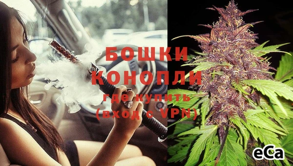 мет Касимов