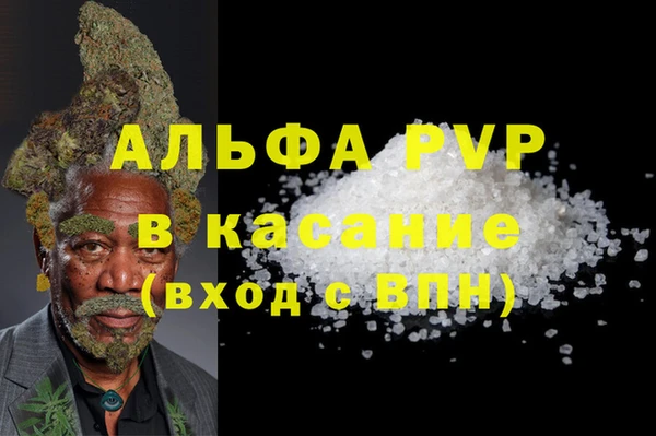 мет Касимов