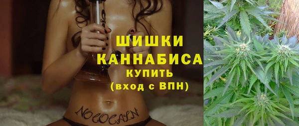 мет Касимов